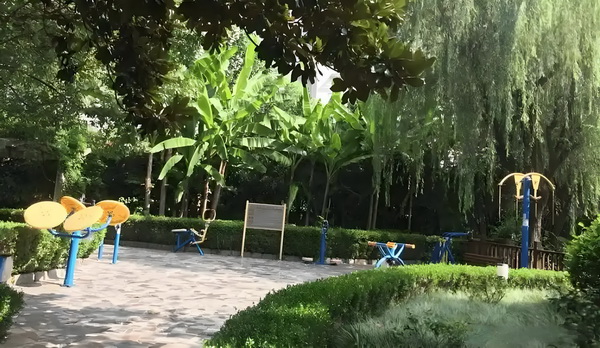 深圳落户应届毕业生_从吃瓜到宣发，有多少人泡在B站影视区？ 带着目的而是赤裸裸的来的
